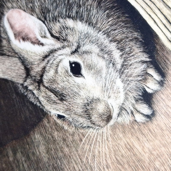 🐇 Moments Rest rabbit collectors plate. Babes in the Woods Collection. Like new - Picture 5 of 8